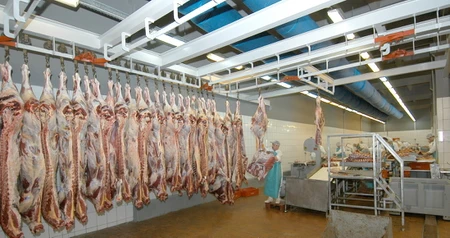 Дезинсекция на мясокомбинате в Волокаламске, цены на услуги