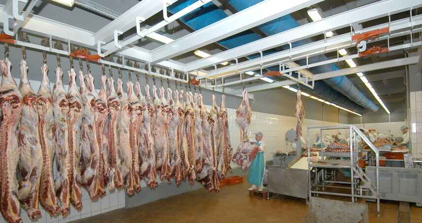 Дезинсекция на мясокомбинате в Волокаламске, цены на услуги